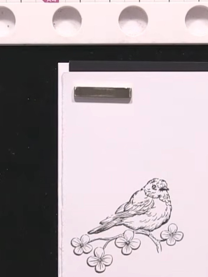 Bird Stamp Die-Cut Card - the finished project