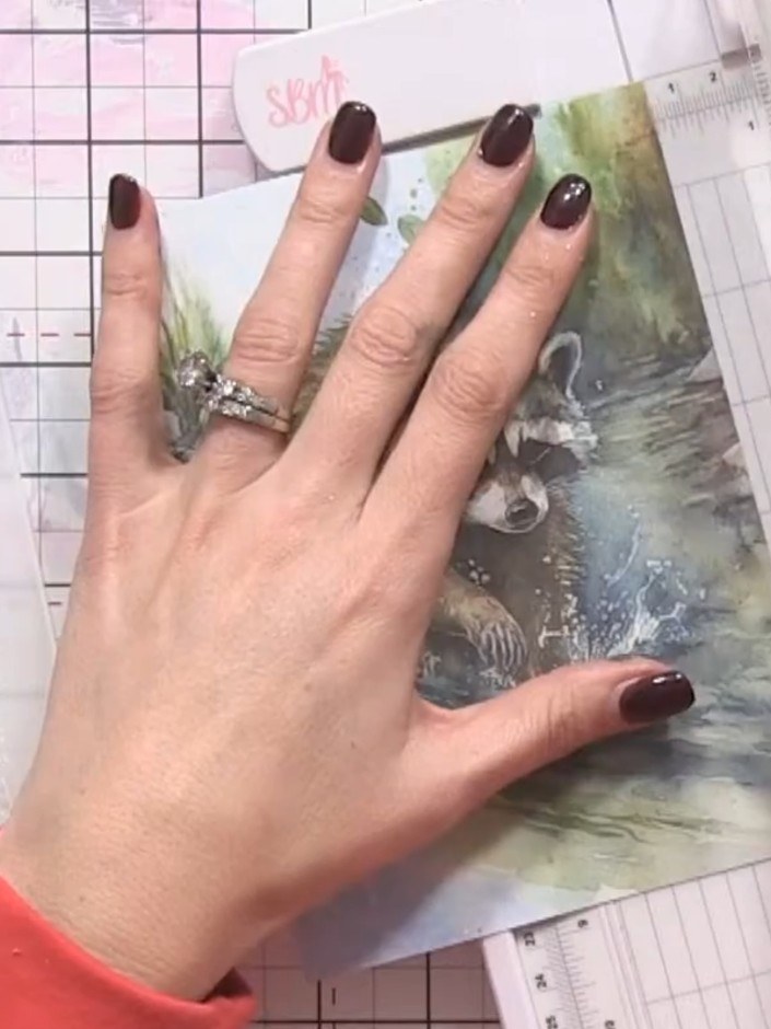 Step 3: Place the patterned paper featuring the raccoon design into the Snowflake Frame embossing folder. Run it throu