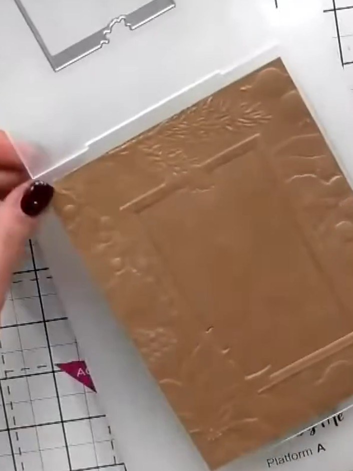 Step 1: Place your white craft card into the Winter Forest embossing folder. Run the folder with the card through your