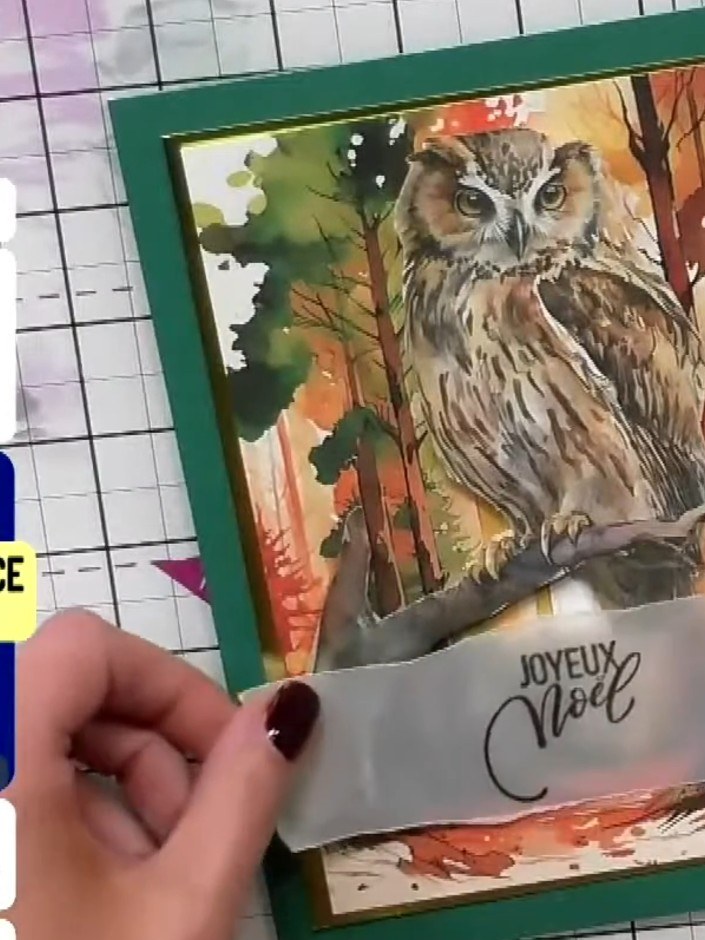 Step 5: Stamp a sentiment such as 'Joyeux Noël' onto a strip of vellum or white cardstock using black ink. Position th