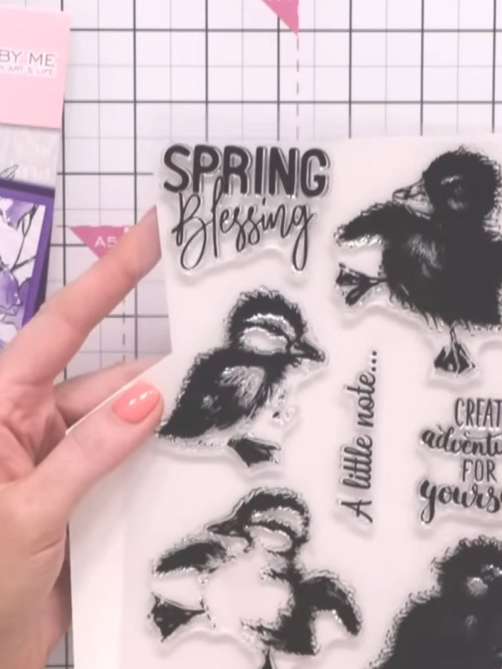 Step 1: Gather your clear stamps featuring spring birds and sentiments. Place them on your stamping mat ready for use.