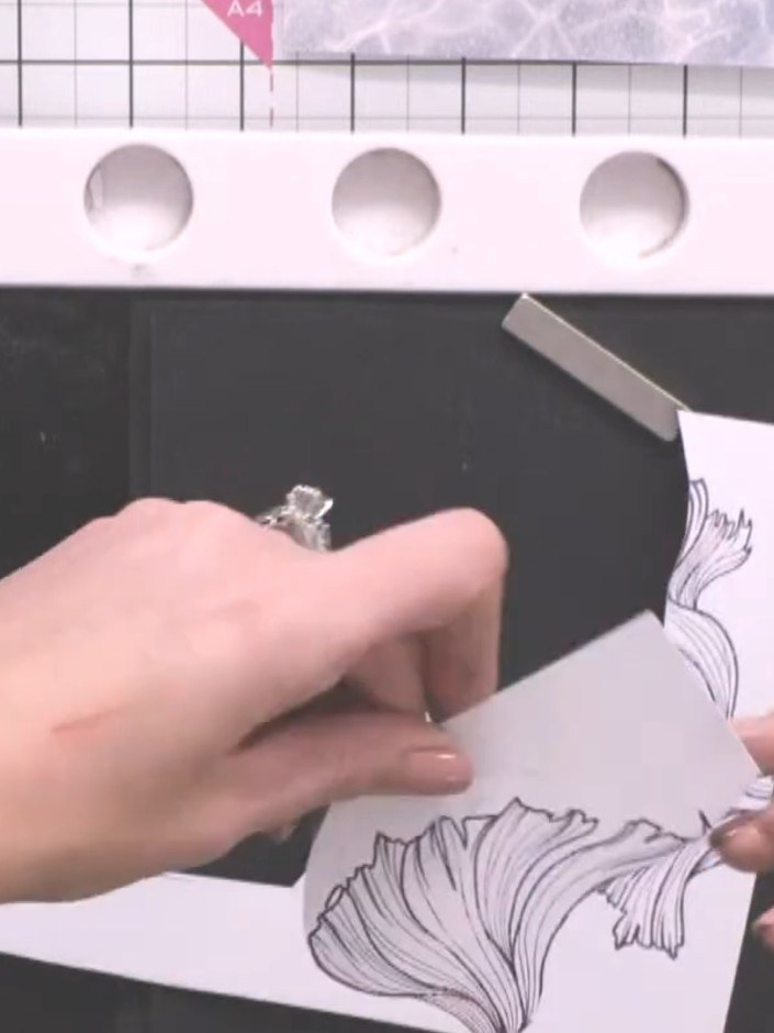 Step 8: Using scissors, carefully cut away the tail section of the fish image. This will create a floating effect when