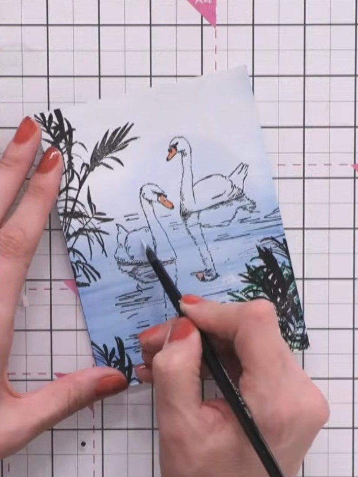 Step 9: Using a white ink pad, layer white ink over the swans to bring them forward and create contrast against the bl