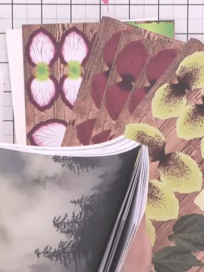 Step 1: Such dir aus dem Fern and Fog Bumper-Papierblock ein Blatt aus, das schön zur Farbe deiner Blüte passt.