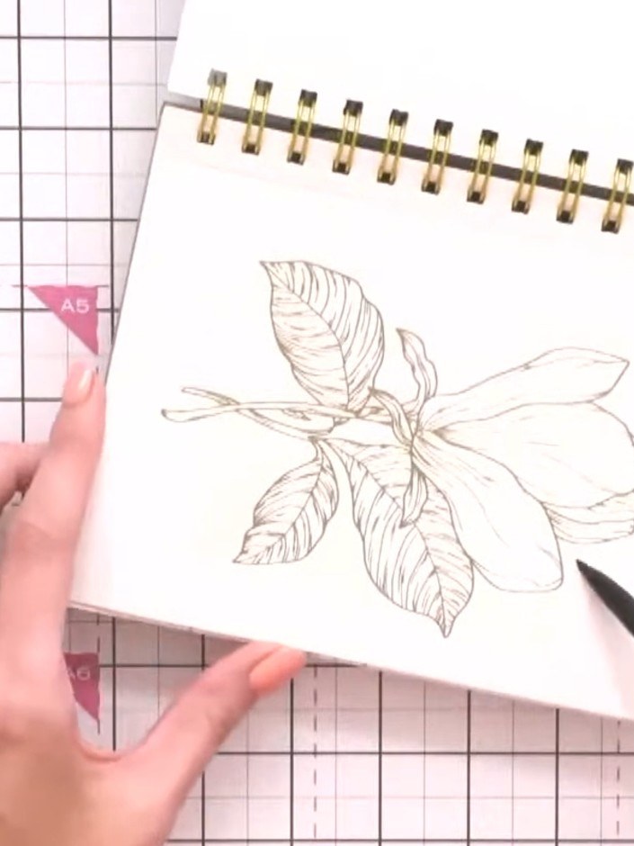 Step 2: Dampen a large brush (size 14) with clean water. Paint around the entire magnolia design, leaving the flower i