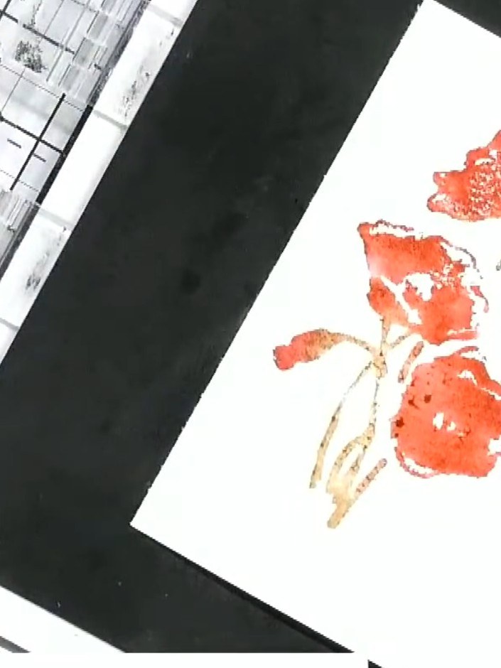 Step 6: Lift the stamp away from the card and set it aside. Allow the watercolour image to dry completely, observing t