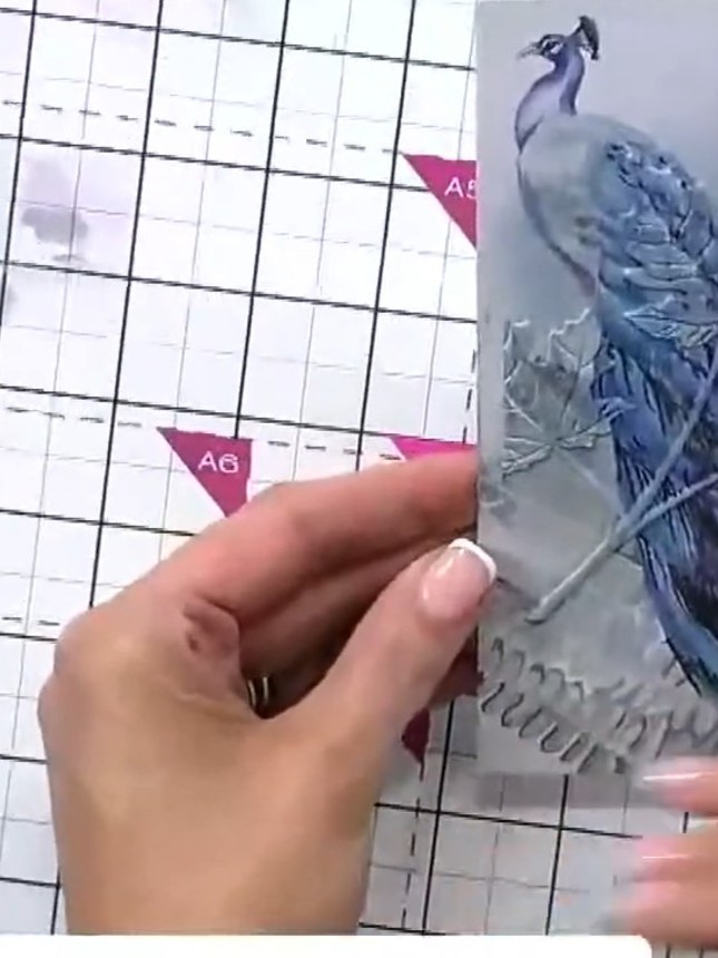 Step 7: Take a small brush and add a touch of water to the embossed image. This will create texture and lift out some 