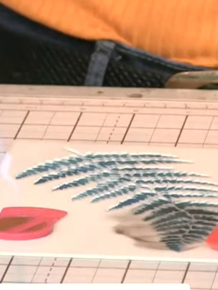 Step 6: Carefully lift the fern stencil straight up to reveal the drop shadow effect created by the blue and coral ink