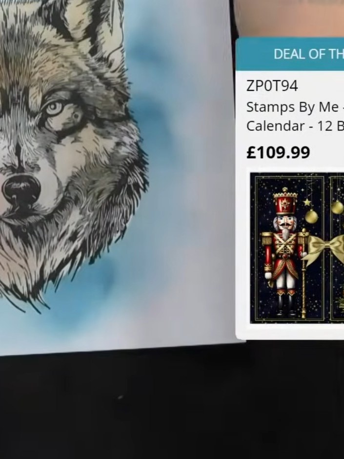 Step 6: Stamp a sentiment from the set onto the bottom of the card using black ink to complete your woodland wolf desi