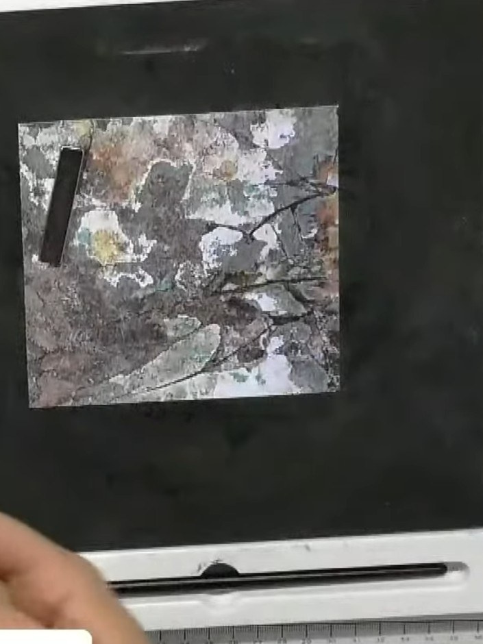 Step 8: Mount the completed stamped and embossed panel onto a black card blank using adhesive. Ensure the panel is cen