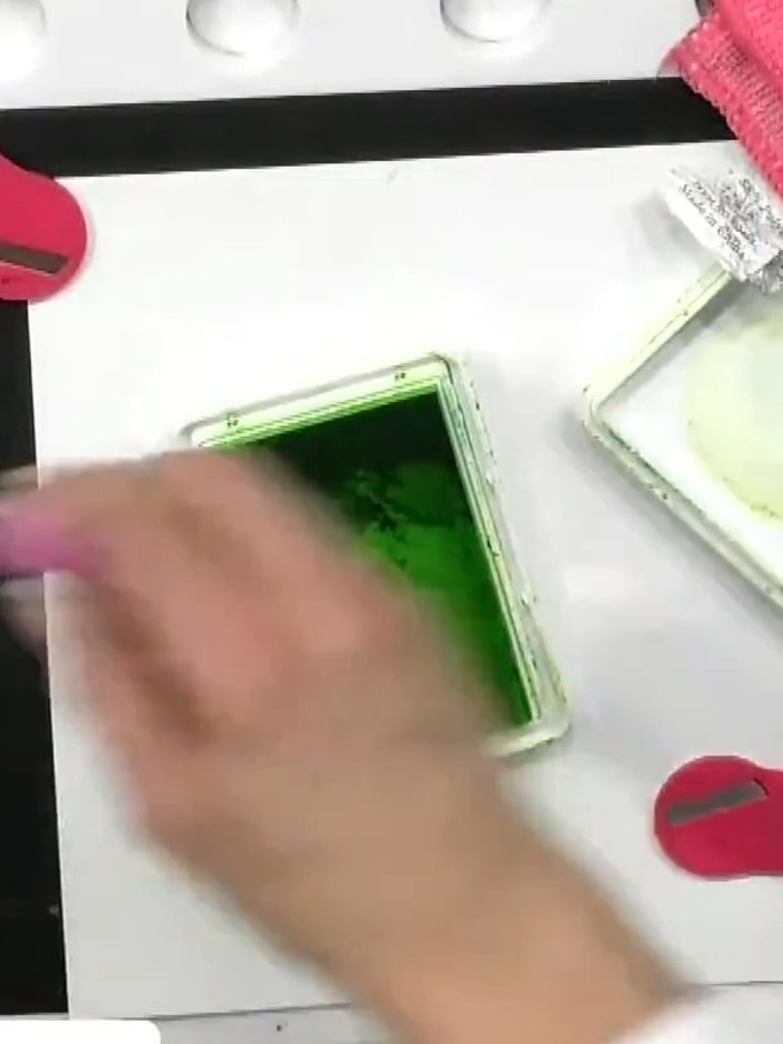 Step 4: Apply a darker green watercolour to the edges and around the leaves to add definition and shadow. Use the gree