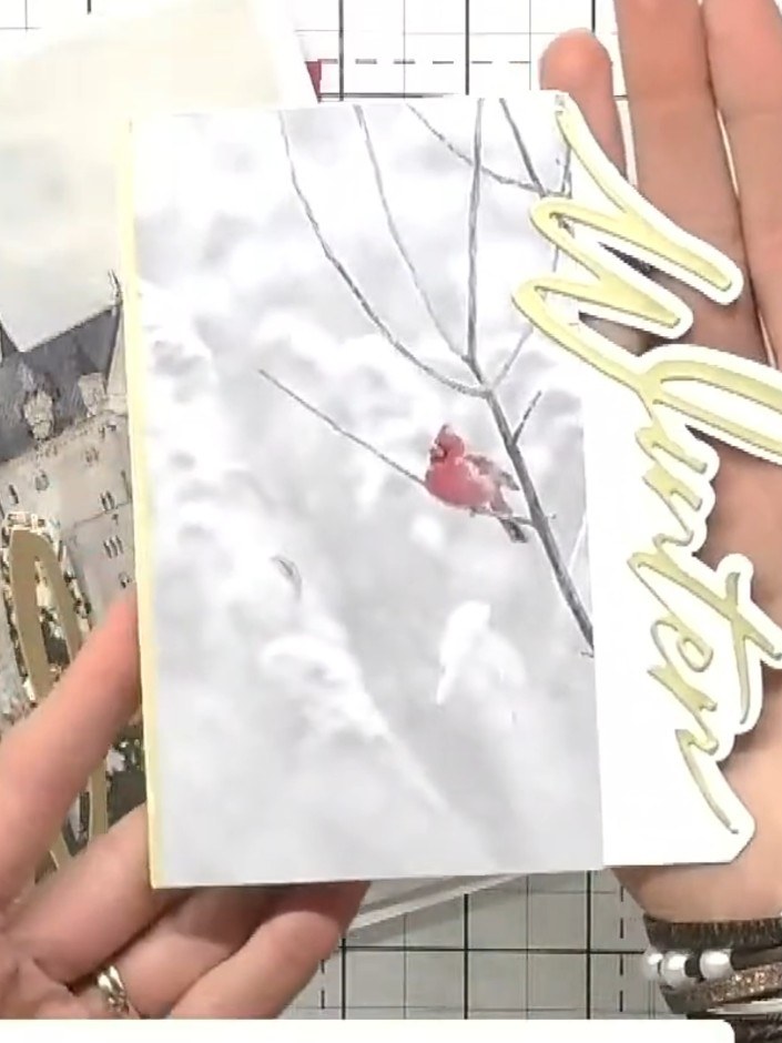 Lapel-Top Card with Snow Drift Word - the finished project