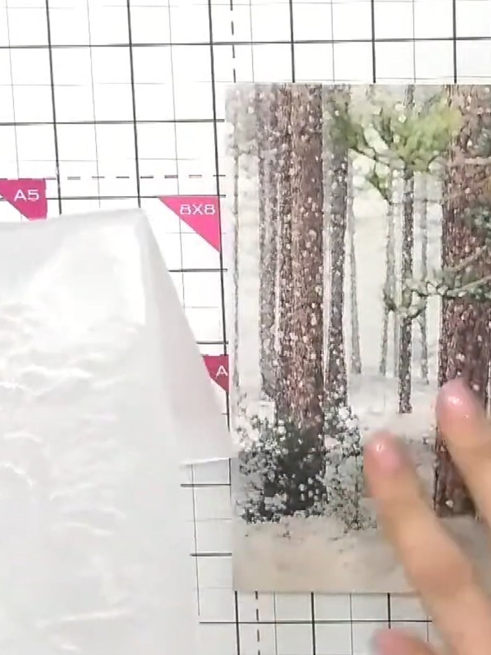 Step 1: Select an HD 3D embossing folder featuring a woodland or forest scene. The embossing folder should have a deta