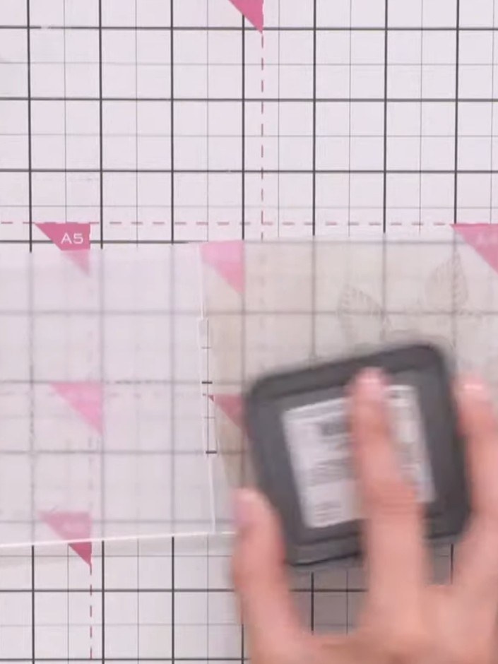 Step 3: Place a piece of white card into the embossing folder, positioning it centrally within the folder.