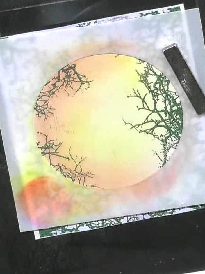 Step 3: Carefully remove the stencil mask from the card to reveal the spotlight effect. The tree silhouette should now