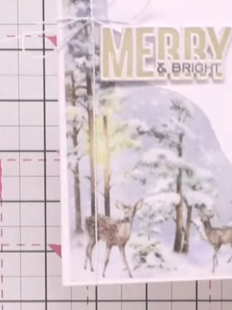 Tarjeta Winter Story con vellum y frase - the finished project