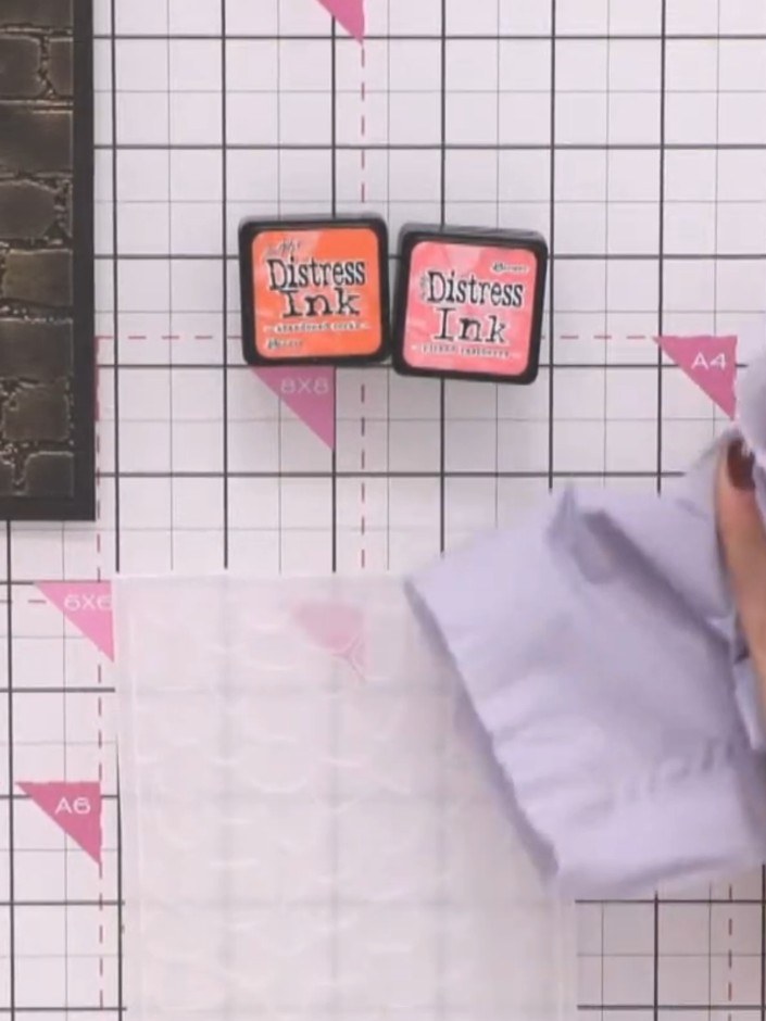 Step 1: Cut white cardstock to fit the size of your embossing folder. Trim the cardstock so it sits comfortably within