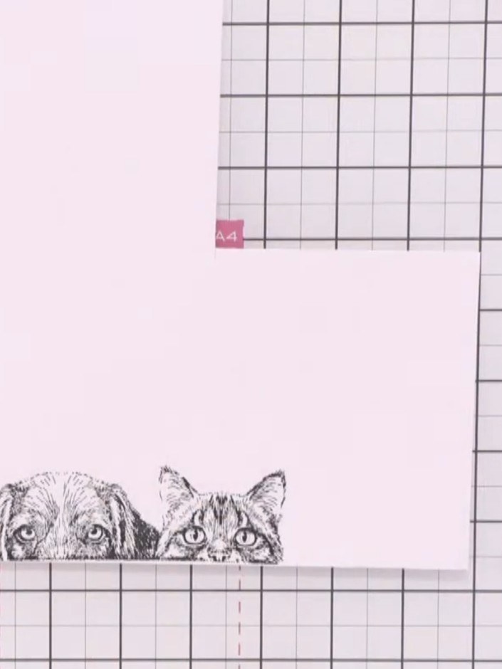 Step 3: Colour the eyes of the dog and cat stamp using a watercolour pen or ink pad in your chosen colour. Apply the c