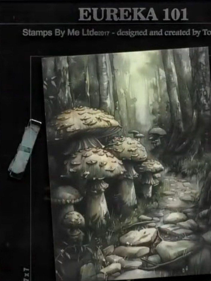 Step 1: Select the Eureka 101 stamp set featuring the mystical forest scene with mushrooms. This will be used as the m