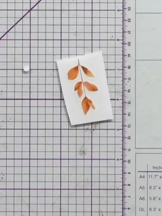 Step 3: Position the leaf motif on the front of your envelope where you wish it to appear.