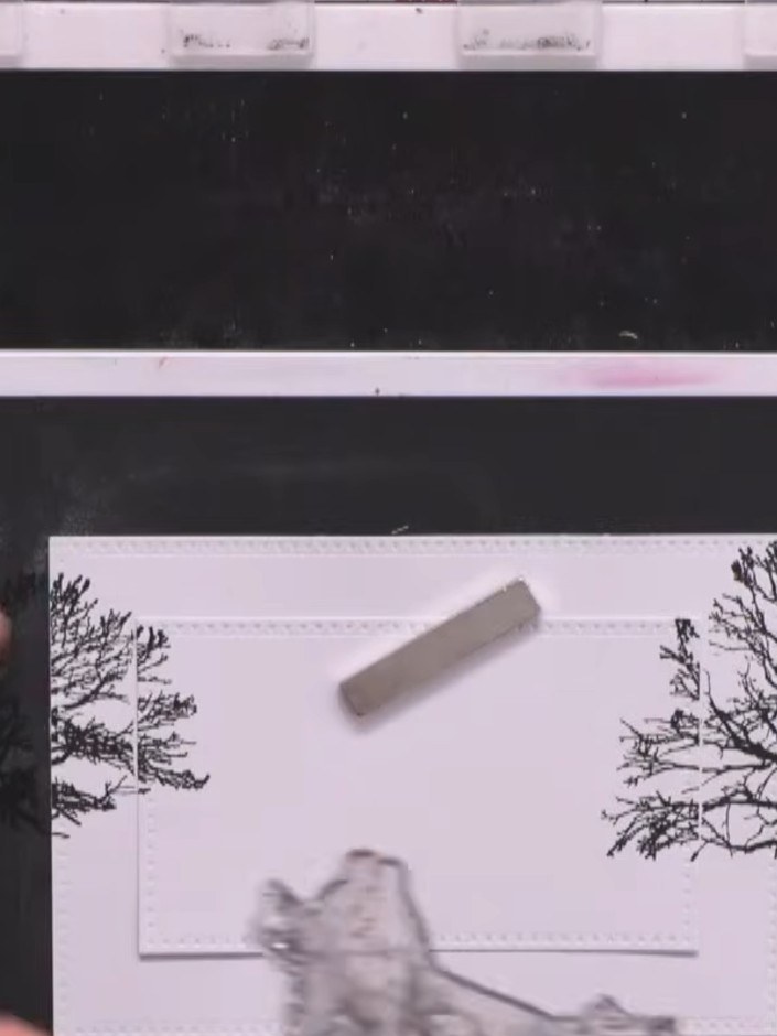 Step 7: Mount the stamped landscape piece onto black card stock to create a border. Position the white stamped panel c