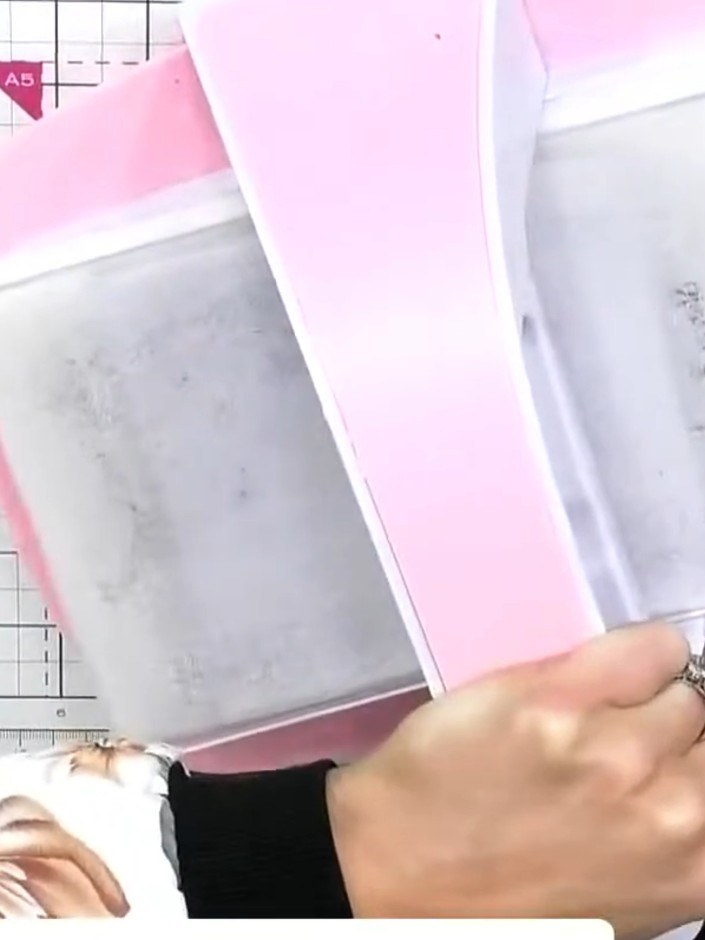 Step 2: Place your cardstock inside the Into the Forest 3D embossing folder. Run the folder through your die-cutting m