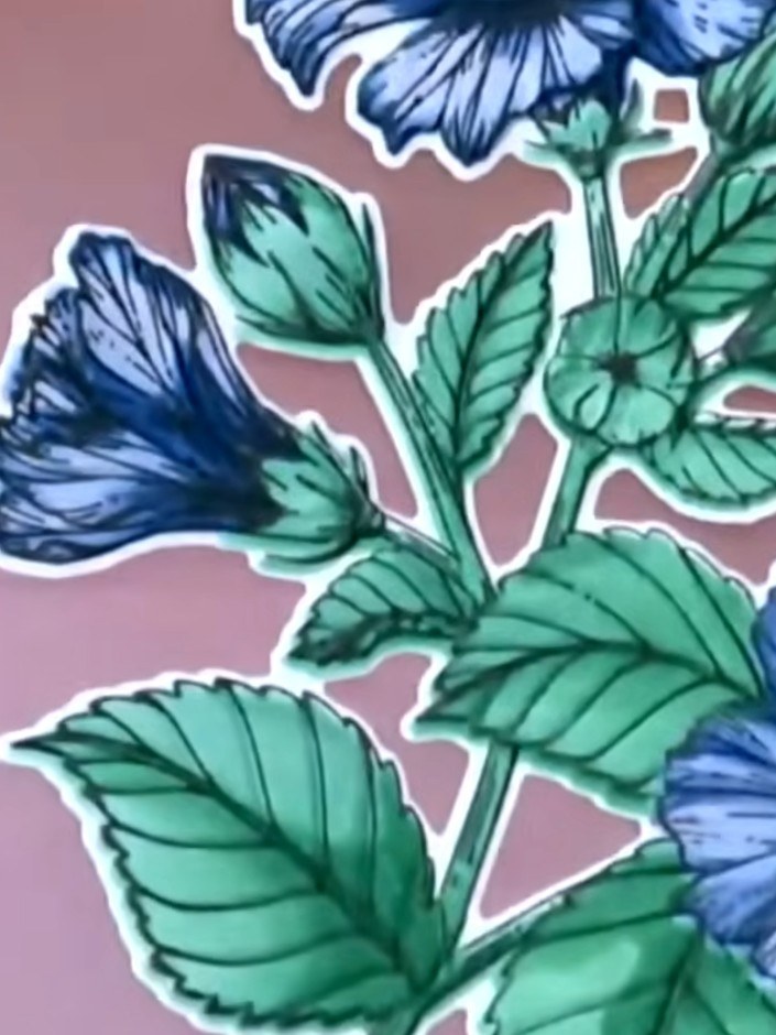 Hibiscus Quattrad Layered Floral Card - the finished project