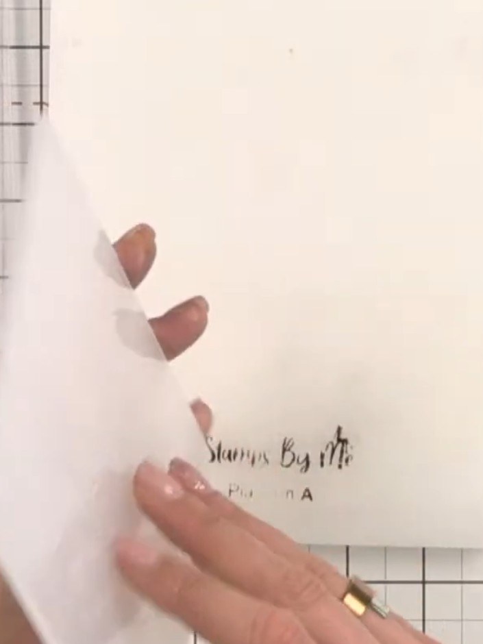 Step 2: Lightly brush a sticky ink pad onto the raised side of the embossing folder, capturing the veins in the leaves