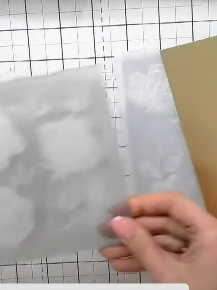 Step 1: Check that the die plate is securely held in place with low-tack tape on your Dainty Hibiscus embossing folder
